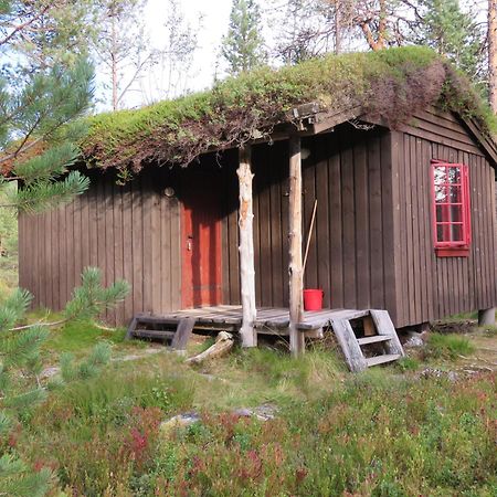 Hov Hyttegrend Viksdalen Ruang foto