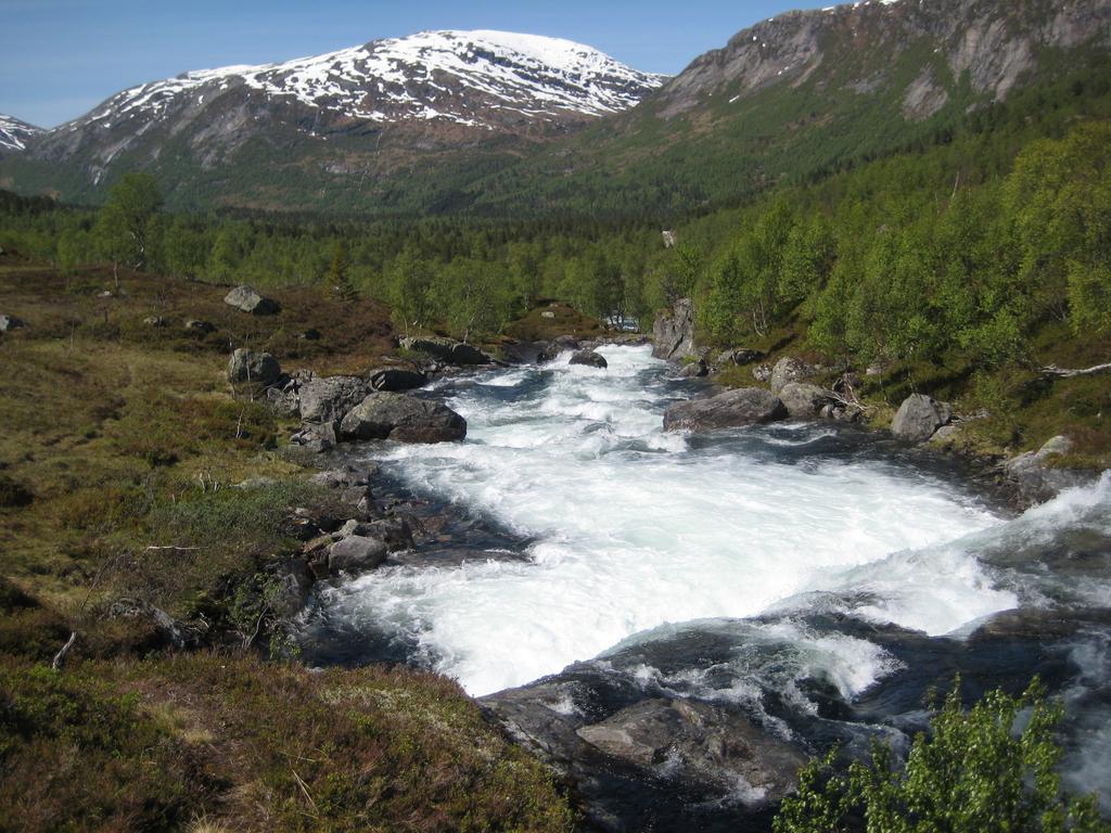 Hov Hyttegrend Viksdalen Bagian luar foto