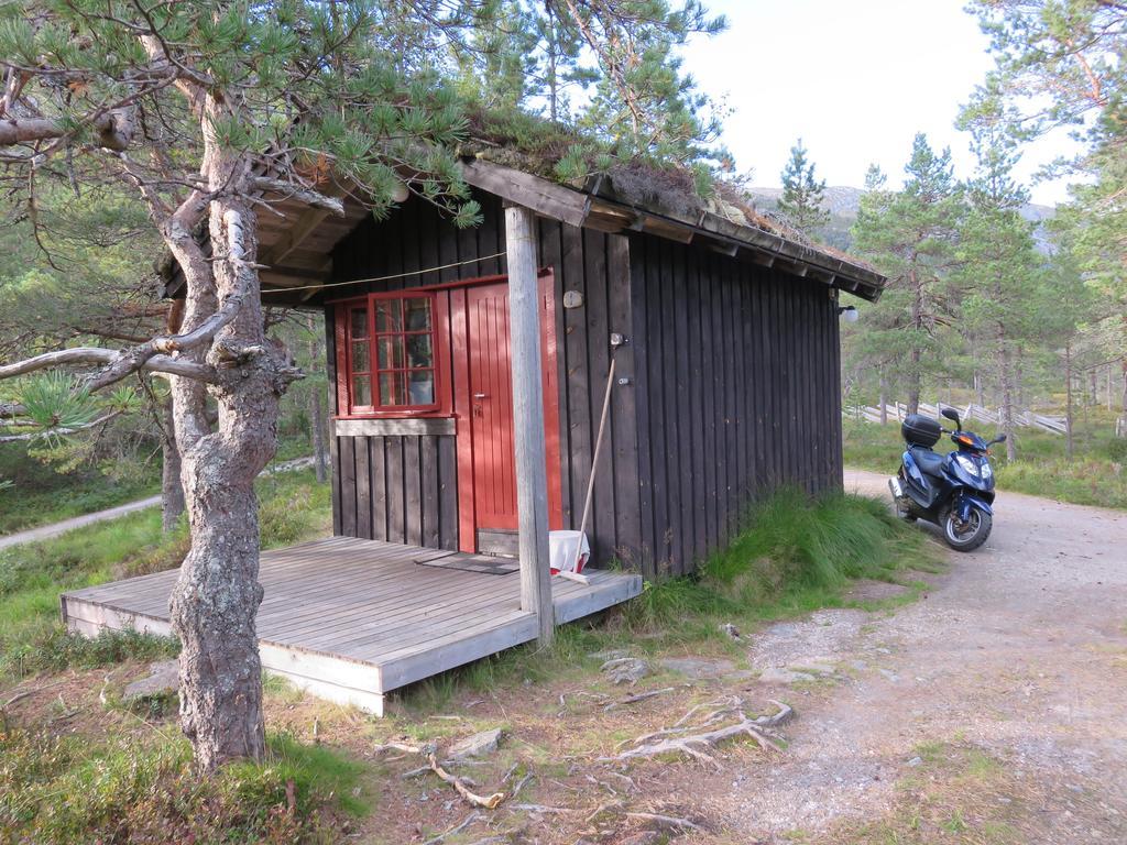 Hov Hyttegrend Viksdalen Bagian luar foto